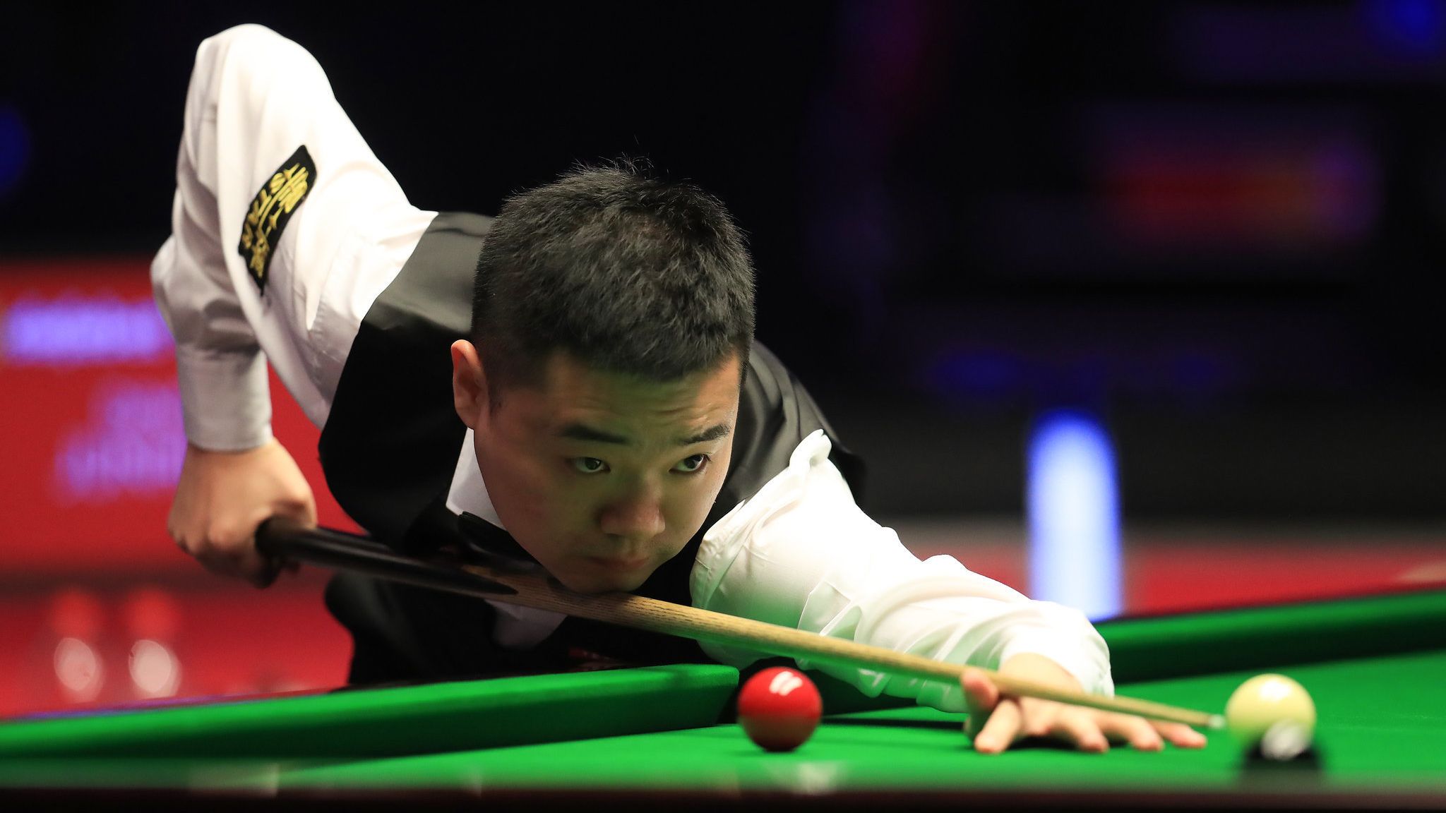 供近距离观 供近距离观