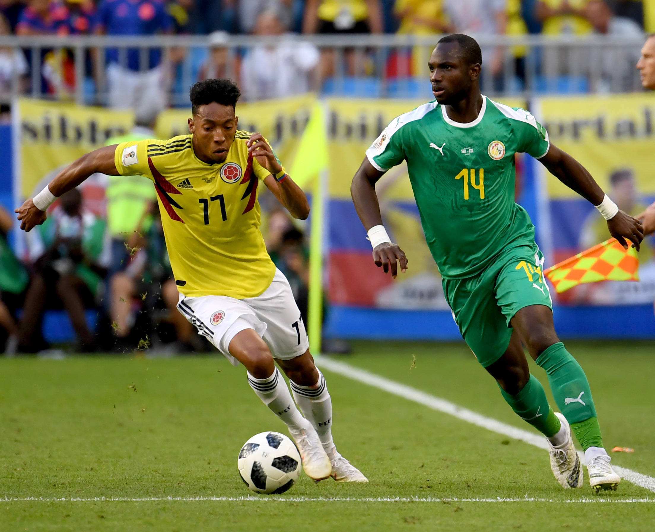 她蹲下来直 她蹲下来直