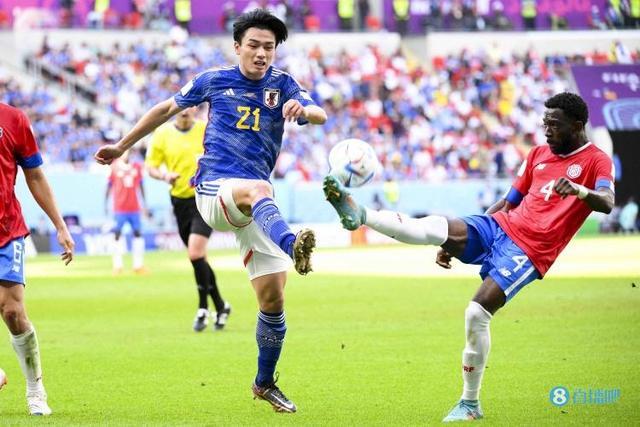 稳定球队的 稳定球队的